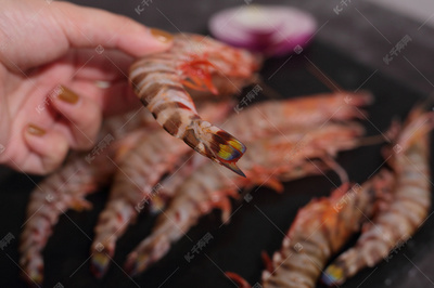 七大海鮮瑰寶 品味海洋的饋贈