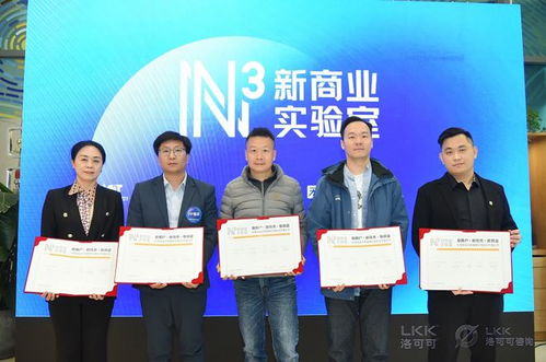 洛可可咨詢業(yè)務(wù)全新升級 信息技術(shù)咨詢服務(wù)邁向獨(dú)立運(yùn)營新階段